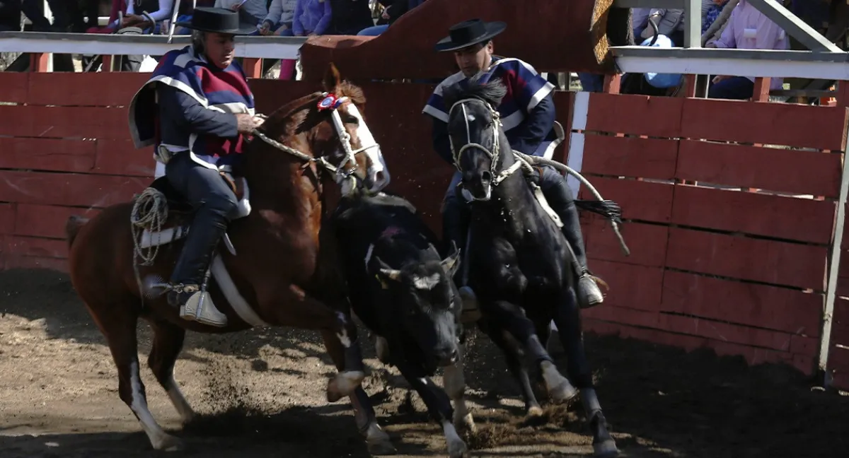 03-154802_0zsy_rodeo-robos-huaso-aperos